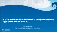 “The Way Forward in Addressing the Impacts of Bottom Fishing on Vmes