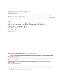 Gizzard Erosion and Feathering in Chicks As Influenced by the Diet Jospeh Nathan Thompson Iowa State College