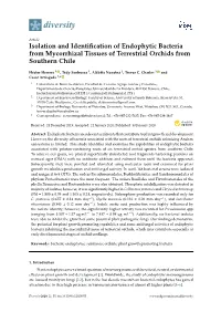 Isolation and Identification of Endophytic Bacteria from Mycorrhizal Tissues of Terrestrial Orchids from Southern Chile