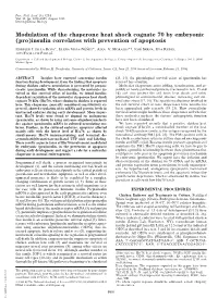 (Pro)Insulin Correlates with Prevention of Apoptosis