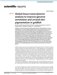 Global Tissue Transcriptomic Analysis to Improve Genome Annotation And