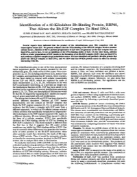 Identification of a 60-Kilodalton Rb-Binding Protein, RBP60, That