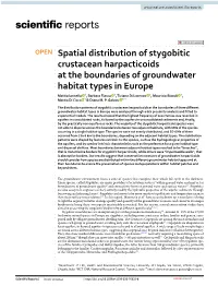Spatial Distribution of Stygobitic Crustacean Harpacticoids at The