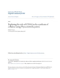 Exploring the Role of CESA5 in the Synthesis of Cellulose Using Physcomitrella Patens Oumie Ceesay University of Rhode Island, Oumiesc@My.Uri.Edu