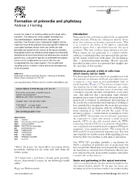 Formation of Primordia and Phyllotaxy Andrew J Fleming