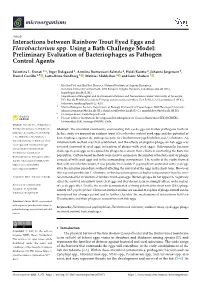 Interactions Between Rainbow Trout Eyed Eggs and Flavobacterium Spp