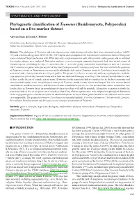 Phylogenetic Classification of Trametes