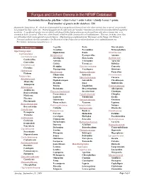 9B Taxonomy to Genus