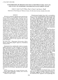 Concordance of Molecular and Ultrastructural Data in the Study of Zoosporic Chlorococcalean Green Algae'