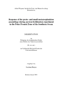 Response of the Proto- and Small Metazooplankton Assemblage During an Iron Fertilization Experiment in the Polar Frontal Zone of the Southern Ocean