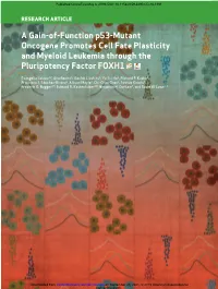 A Gain-Of-Function P53-Mutant Oncogene Promotes Cell Fate Plasticity and Myeloid Leukemia Through the Pluripotency Factor FOXH1
