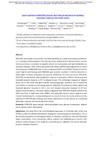 Codon-Optimized Fam132b Prevents Diet-Induced Obesity by Modulating Adrenergic Response and Insulin Action