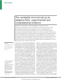 The Cerebellar Microcircuit As an Adaptive Filter: Experimental and Computational Evidence