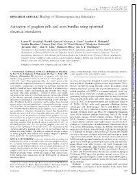 Activation of Ganglion Cells and Axon Bundles Using Epiretinal Electrical Stimulation