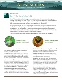 Forest/ Woodlands Forest/Woodland Habitats Describe Large Areas Primarily Dominated by Trees, with Moderate Ground Coverage, Such As Grasses and Shrubs