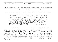 Hatching Success Affects the Timing of Spawning by the Intertidally Spawning Puffer Takifuguniphobles