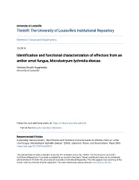 Identification and Functional Characterization of Effectors from an Anther Smut Fungus, Microbotryum Lychnidis-Dioicae