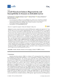 Stim2b Knockout Induces Hyperactivity and Susceptibility to Seizures in Zebraﬁsh Larvae