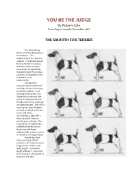 Smooth Fox Terrier