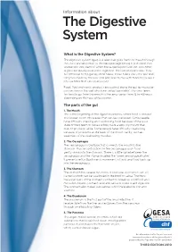 The Digestive System