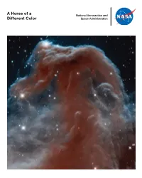 A Horse of a Different Color