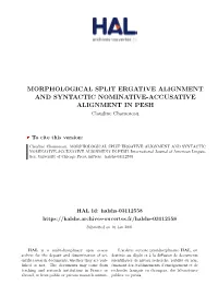 MORPHOLOGICAL SPLIT ERGATIVE ALIGNMENT and SYNTACTIC NOMINATIVE-ACCUSATIVE ALIGNMENT in PESH Claudine Chamoreau