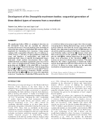 Clonal Analysis of the Mushroom Bodies 4067 Are Derived from the Same Nb Remains to Be Elucidated (Fig