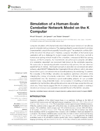 Simulation of a Human-Scale Cerebellar Network Model on the K Computer