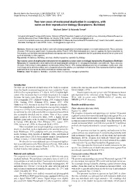 Two New Cases of Metasomal Duplication in Scorpions, with Notes on Their Reproductive Biology (Scorpiones: Buthidae)
