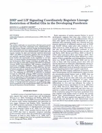 BMP and LIF Signaling Coordinately Regulate Lineage Restriction of Radial Glia in the Developing Forebrain