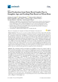Meat Production from Dairy Breed Lambs Due to Slaughter Age and Feeding Plan Based on Wheat Bran