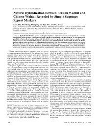 Natural Hybridization Between Persian Walnut and Chinese Walnut Revealed by Simple Sequence Repeat Markers