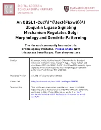 (^{\Text{Fbxw8}}\) Ubiquitin Ligase Signaling Mechanism Regulates Golgi Morphology and Dendrite Patterning