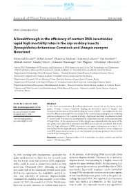 A Breakthrough in the Efficiency of Contact DNA Insecticides: Rapid