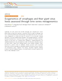 Ecogenomics of Virophages and Their Giant Virus Hosts Assessed Through Time Series Metagenomics