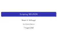 Scripting NEURON