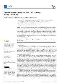 How Influenza Virus Uses Host Cell Pathways During Uncoating
