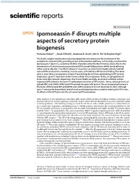 Ipomoeassin-F Disrupts Multiple Aspects of Secretory Protein
