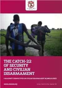 The Catch-22 of Security and Civilian Disarmament