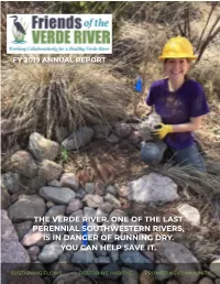 The Verde River, One of the Last Perennial Southwestern Rivers, Is in Danger of Running Dry. You Can Help Save It