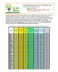 Tree Elevations.Pdf