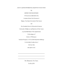 HOX CLUSTER INTERGENIC SEQUENCE EVOLUTION by JEREMY DON RAINCROW a Dissertation Submitted to the Graduate School-New Brunswick R