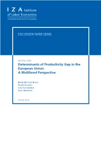 Determinants of Productivity Gap in the European Union: a Multilevel Perspective
