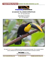 ECUADOR: the ANDES INTROTOUR 18Th – 25Th June 2016 And