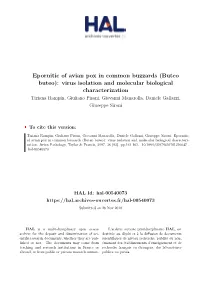 Epornitic of Avian Pox in Common Buzzards
