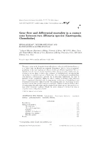 Gene Flow and Differential Mortality in a Contact Zone Between Two