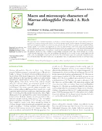 Macro and Microscopic Characters of Maerua Oblongifolia (Forssk.) A
