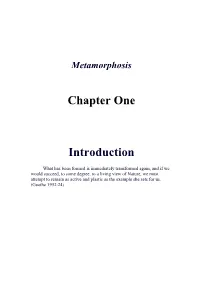 Chapter One Introduction