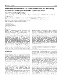 Noradrenergic Neurons in the Zebrafish Hindbrain Are Induced By