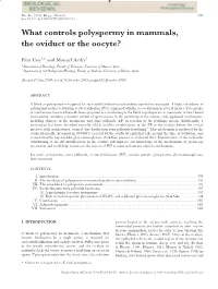 What Controls Polyspermy in Mammals, the Oviduct Or the Oocyte?